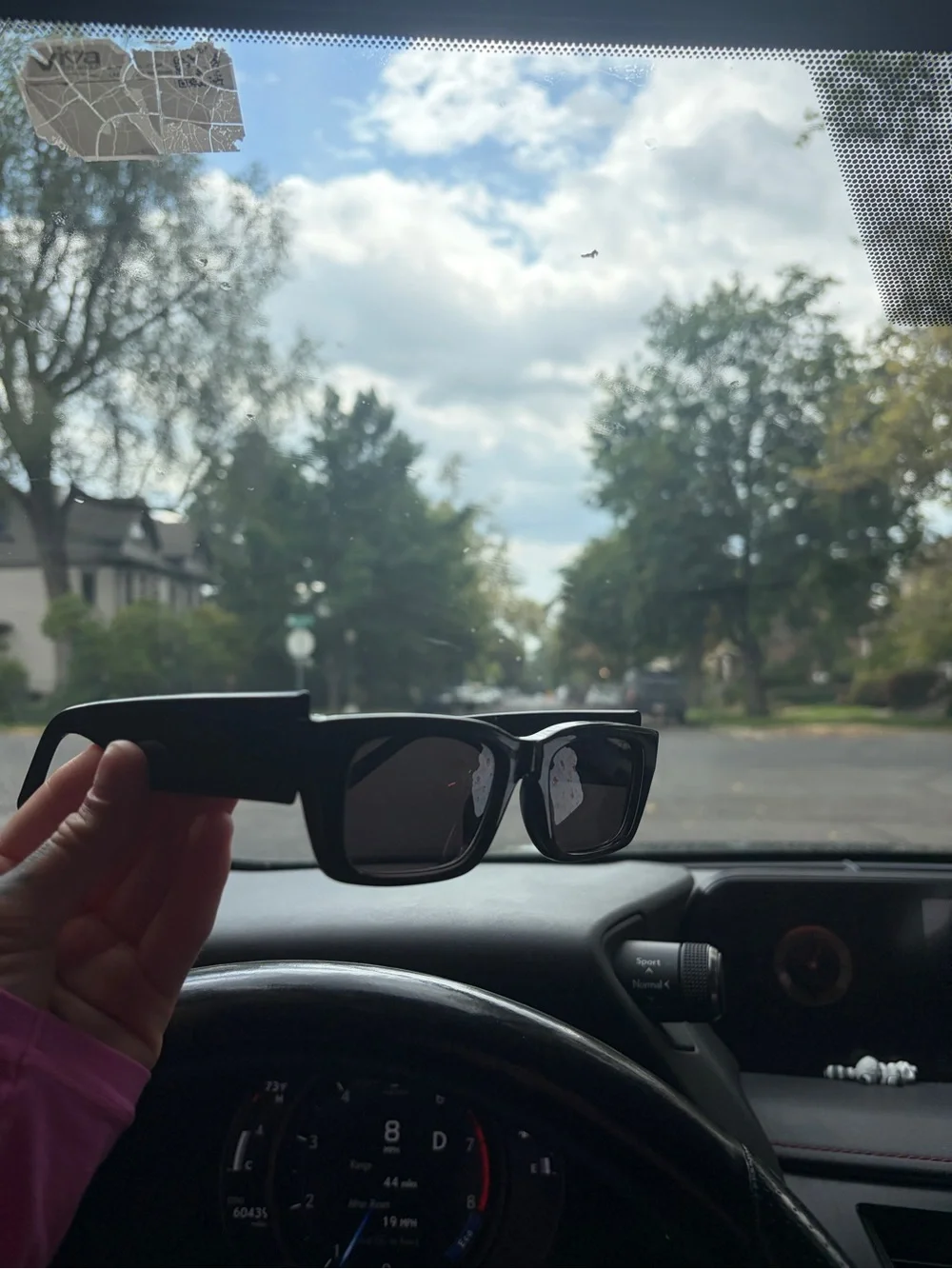Black Palm Angel, sunglasses